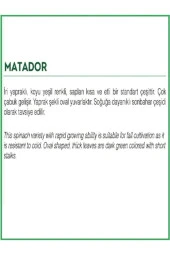 AGRODAL TARIM Ata Tohumu Yerli Doğal Ispanak Tohumu 500 Adet Tohum thumbnail 4