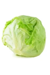 AGRODAL TARIM Ata Tohumu Yerli Doğal Göbek Marul Iceberg Great Lakes 1000 Adet Sebze Tohumu thumbnail 3