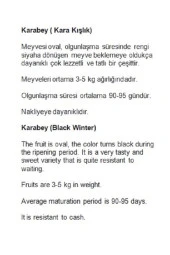 AGRODAL TARIM Ata Tohumu Yerli Doğal Kışlık Kavun Karabey 100 Adet Tohum thumbnail 2