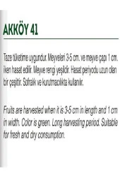 AGRODAL TARIM Ata Tohumu Yerli Bamya 100 Adet Doğal Tohum thumbnail 2