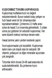 AGRODAL TARIM Ata Tohumu Yerli Doğal Kuşkonmaz Tohumu Asparagus 40 Adet Tohum thumbnail 2