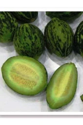 AGRODAL TARIM Ata Tohumu Yerli Turşuluk Doğal Kara Kavun Meriç 100 Adet Tohum thumbnail 1