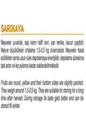 AGRODAL TARIM Ata Tohumu Yerli Doğal Kışlık Tatlı Kavun Sarıkaya 100 Adet Tohum thumbnail 2