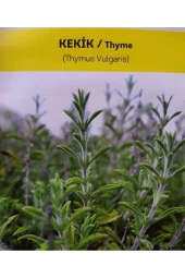 AGRODAL TARIM Ata Tohumu Yerli Doğal Kokulu Kekik Tohumu Yaklaşık 1 gr Tohum thumbnail 1