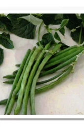 AGRODAL TARIM Ata Tohumu Yerli Börülce Karagöz 50 Adet Doğal Tohum thumbnail 1