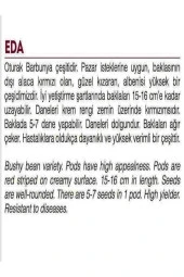 AGRODAL TARIM Yerli Oturak Barbunya Eda Tohum 50 Adet thumbnail 2