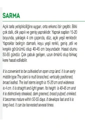 AGRODAL TARIM Ata Tohumu Yerli Doğal Yaprak Pazı Sarma 100 Adet Tohum thumbnail 2