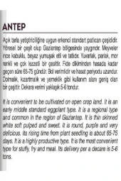 AGRODAL TARIM Ata Tohumu Yerli Antep Patlıcanı 100 Adet Doğal Tohum thumbnail 2