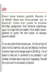 AGRODAL TARIM Ata Tohumu Yerli Doğal Oturak Köy Domatesi 1000 Adet Tohum - 2
