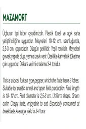 AGRODAL TARIM Ata Tohumu Yerli Doğal Tatlı Üçburun Yeşil Biber Mazamort 1000 Adet Tohum thumbnail 2