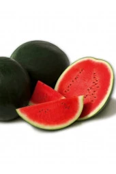 AGRODAL TARIM Ata Tohumu Yerli Doğal Kara Karpuz Washington 50 Adet Sebze Tohumu thumbnail 1