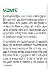 AGRODAL TARIM Ata Tohumu Yerli Kışlık Balkabağı 10 Adet Doğal Tohum thumbnail 2