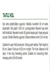 AGRODAL TARIM Ata Tohumu Yöresel Yerli Doğal Tatlı Kıl Sivri Biber 1000 Adet Tohum thumbnail 2