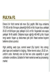 AGRODAL TARIM Sweetcorn Tatlı Mısır Bardakta Mısır Tohumu 50 Adet Tohum - 2