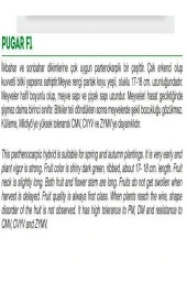 AGRODAL TARIM Hibrit Asma Taze Hıyar Salatalık Pugar-f1 10 Adet Tohum thumbnail 2