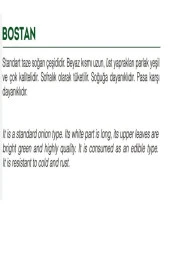 AGRODAL TARIM Ata Tohumu Yerli Doğal Taze Yeşil Soğan Bostan Tohumu 1000 Adet Tohum thumbnail 2