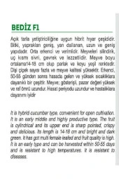 AGRODAL TARIM Yüksek Verimli Hibrit Hıyar Oturak Salatalık Tohumu Bediz-f1 30 Adet Tohum thumbnail 2