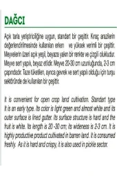 AGRODAL TARIM Ata Tohumu Yerli Hıta Turşuluk Acur Köy Tipi 100 Adet Doğal Tohum thumbnail 2