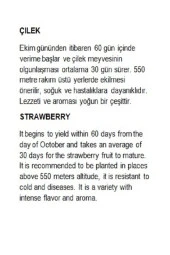 AGRODAL TARIM Yerli Çilek Yediveren Tohum 0,1 gr thumbnail 3