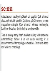 AGRODAL TARIM Ata Tohumu Yerli Doğal Oturak Sofralık Sc-2121 Domates 1000 Adet Sebze Tohumu thumbnail 2