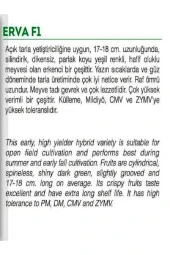 AGRODAL TARIM Yüksek Verimli Hibrit Hıyar Oturak Salatalık Tohumu Erva-f1 30 Adet Tohum thumbnail 2