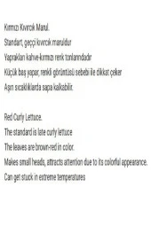 AGRODAL TARIM Ata Tohumu Yerli Doğal Salata Kırmızı Kıvırcık Marul 1000 Adet Sebze Tohumu thumbnail 2