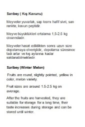 AGRODAL TARIM Ata Tohumu Yerli Doğal Kışlık Kavun Sarıbey 100 Adet Tohum thumbnail 2