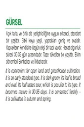 AGRODAL TARIM Ata Tohumu Yerli Doğal Yeşillik Kuzukulağı Gürsel 1000 Adet Sebze Tohumu thumbnail 2