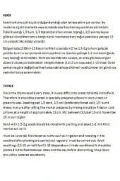 AGRODAL TARIM Ata Tohumu Yerli Doğal Kokulu Kekik Tohumu Yaklaşık 1 gr Tohum thumbnail 2