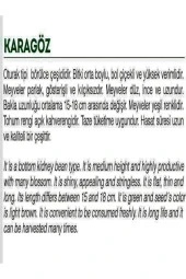 AGRODAL TARIM Ata Tohumu Yerli Börülce Karagöz 50 Adet Doğal Tohum thumbnail 2