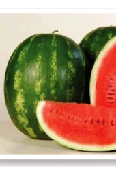 AGRODAL TARIM Ata Tohumu Doğal Diyarbakır Karpuzu Ala Karpuz 100 Adet Yerli Tohum thumbnail 1