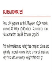 AGRODAL TARIM Ata Tohumu Yerli Doğal Oturak Salçalık Bursa Domatesi 1000 Adet Tohum thumbnail 2