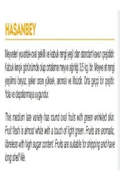 AGRODAL TARIM Ata Tohumu Yerli Ankara Kavunu Hasanbey Kışlık Kavun Tohumu 100 Adet Doğal Tohum thumbnail 2