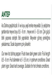 AGRODAL TARIM Ata Tohumu Yöresel Yerli Doğal Acı Dolma Biber Antep 1000 Adet Tohum thumbnail 2