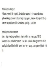 AGRODAL TARIM Ata Tohumu Yerli Doğal Kara Karpuz Washington 50 Adet Sebze Tohumu thumbnail 2