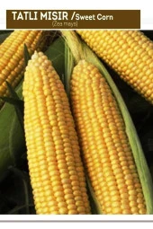 AGRODAL TARIM Sweetcorn Tatlı Mısır Bardakta Mısır Tohumu 50 Adet Tohum - 1