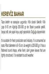 AGRODAL TARIM Ata Tohumu Yerli Doğal Kök Kereviz Tohumu 2000 Adet Tohum thumbnail 2