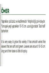 AGRODAL TARIM Ata Tohumu Yerli Doğal Yeşillik Geniş Yaprak Enli Tere 1000 Adet Sebze Tohumu thumbnail 2