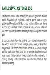 AGRODAL TARIM Ata Tohumu Doğal Tatlı Sivri Çetinel Biber 1000 Adet Yerli Tohum thumbnail 2