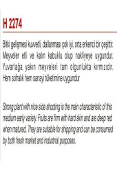 AGRODAL TARIM Ata Tohumu Yerli Doğal Oturak Sofralık Iri Domates 1000 Adet Tohum thumbnail 2