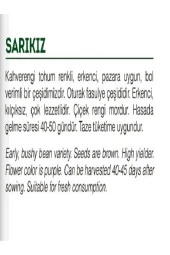 AGRODAL TARIM Ata Tohumu Yerli Oturak 40 Günlük Taze Yeşil Fasulye Sarıkız 50 Adet Doğal Tohum thumbnail 3