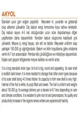 AGRODAL TARIM Ata Tohumu Yerli Doğal Sarı Baş Soğan Akyol 1000 Adet Tohum thumbnail 2