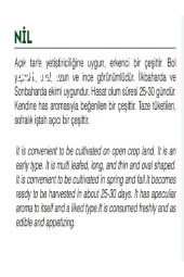 AGRODAL TARIM Ata Tohumu Yerli Doğal Yeşillik Kıl Ince Tere 1000 Adet Sebze Tohumu thumbnail 2