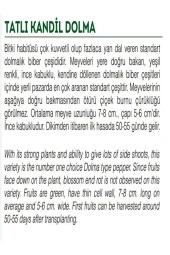 AGRODAL TARIM Ata Tohumu Doğal Tatlı Kandil Dolma Biberi Dolmalık Biber 1000 Adet Yerli Tohum thumbnail 2