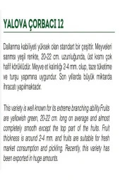 AGRODAL TARIM Ata Tohumu Doğal Tatlı Sivri Biber Yalova Çorbacı 1000 Adet Yerli Tohum thumbnail 2