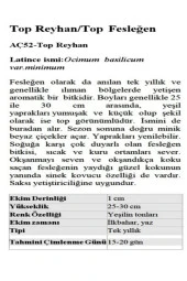 AGRODAL TARIM Top Reyhan/top Fesleğen Çiçeği 100 Adet Tohum thumbnail 1