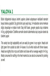 AGRODAL TARIM Ata Tohumu Yerli Doğal Beyaz Lahana Yalova Lahanası 1000 Adet Tohum thumbnail 2