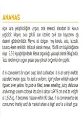 AGRODAL TARIM Ata Tohumu Yerli Doğal Yazlık Bal Kavun Ananas Kavun Tohumu 100 Adet Tohum thumbnail 2