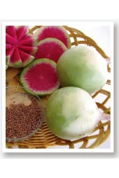 AGRODAL TARIM Ata Tohumu Yerli Doğal Beyaz-kırmızı Turp Çelebi 500 Adet Tohum thumbnail 1