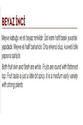 AGRODAL TARIM Ata Tohumu Yerli Doğal Turp Beyaz Inci 500 Adet Tohum thumbnail 2